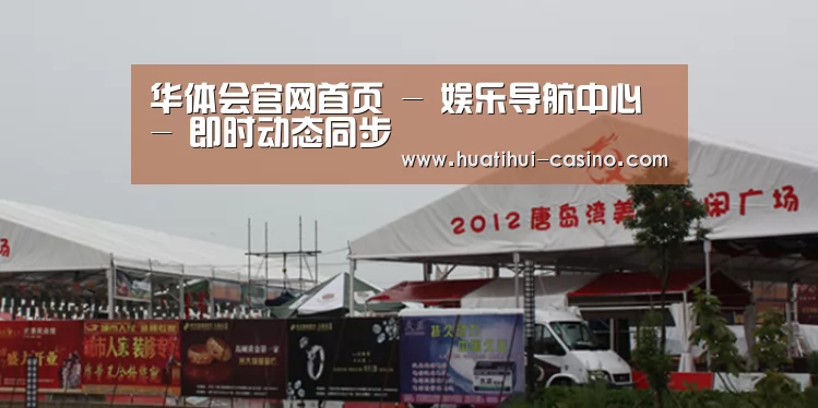案例标题十