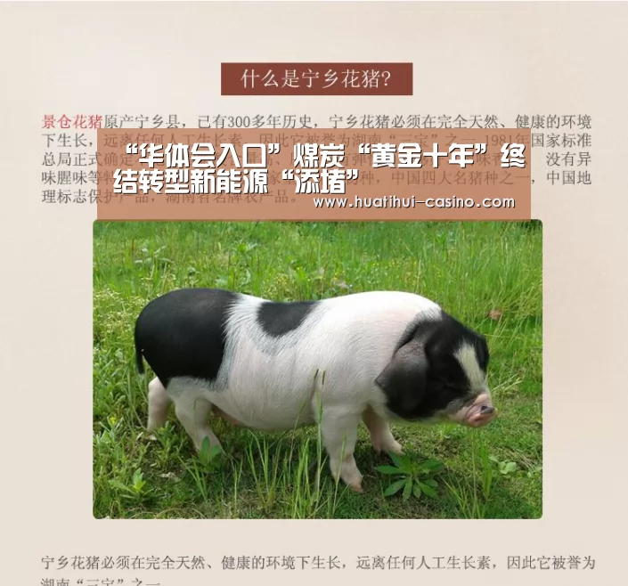 “华体会入口”煤炭“黄金十年”终结转型新能源“添堵”