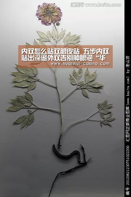 内双怎么贴双眼皮贴 五步内双贴出深邃外双告别肿眼泡“华体会游戏”(图2) 华体会平台