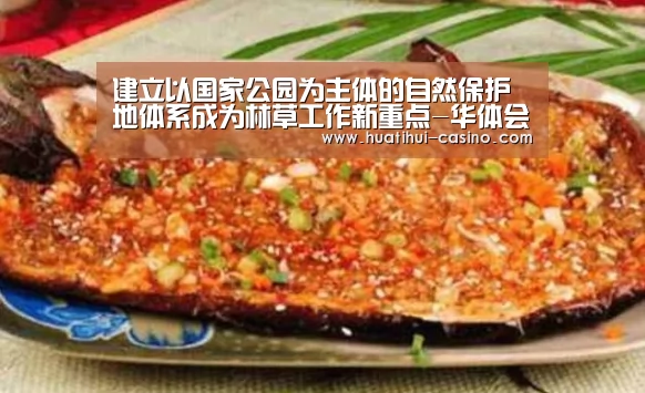华体会频道