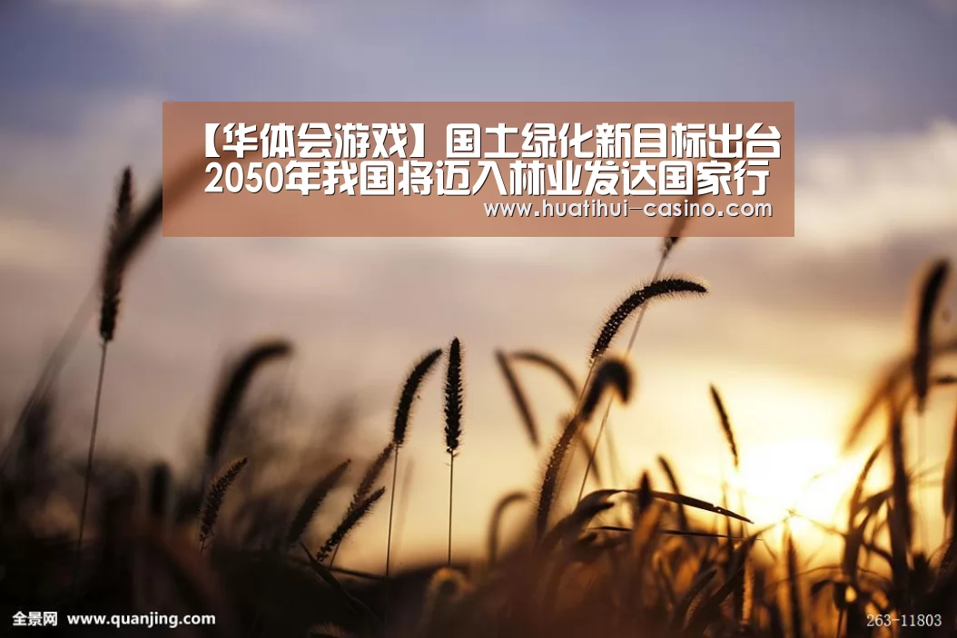 华体会入口