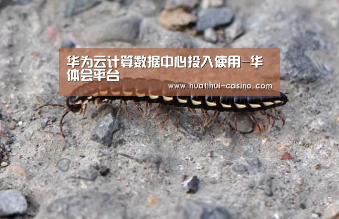 华为云计算数据中心投入使用-华体会平台(图2) 华体会平台