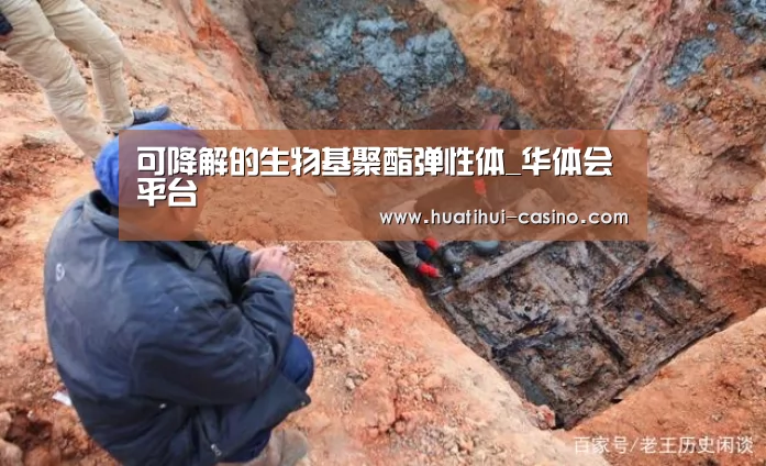 可降解的生物基聚酯弹性体_华体会平台(图2) 华体会平台