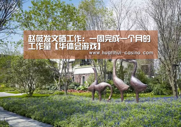 华体会频道